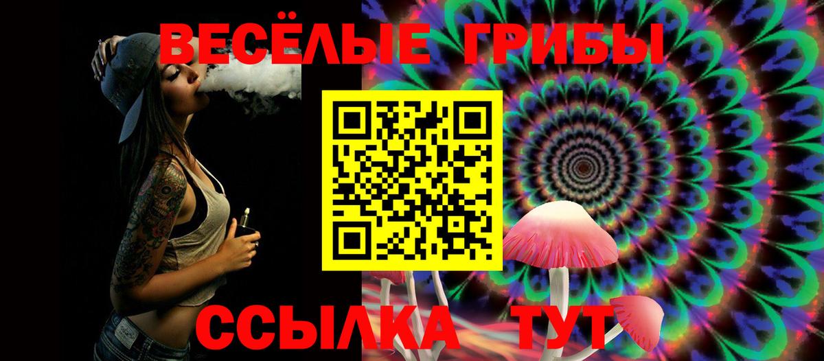 Чусовой  Псилоцибиновые грибы MAGIC MUSHROOMS  Вход с VPN  Галлюциногенные грибы мухоморы 